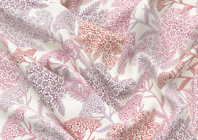 Yarrow, Cosmos - Roman Blind - Image 4